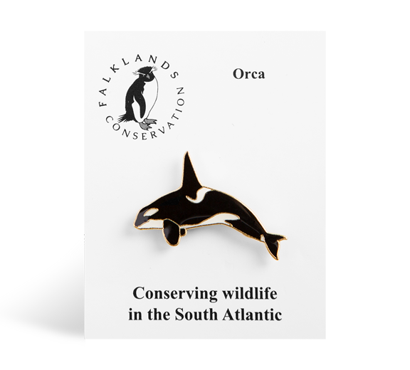 orca-pin-badge